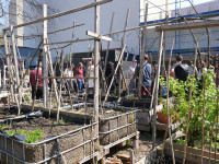 Bald wird gepflanzt: Gartenprojekt Wilde 17